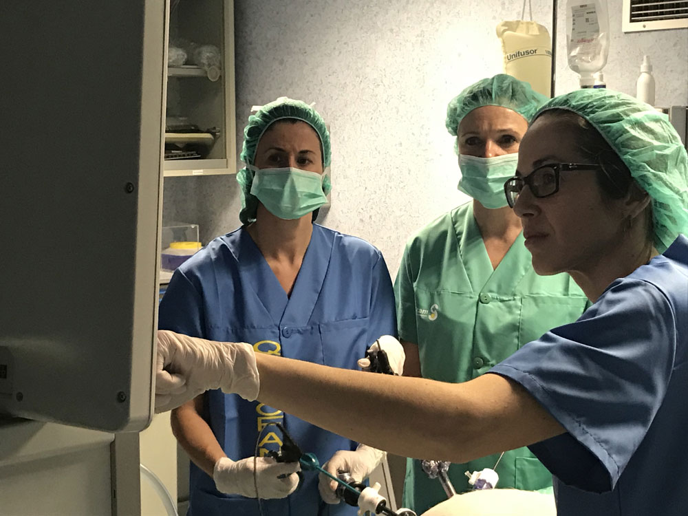Albacete cuenta desde finales de 2022 con una Unidad de Endometriosis en la que se han implicado siete especialidades médicas.