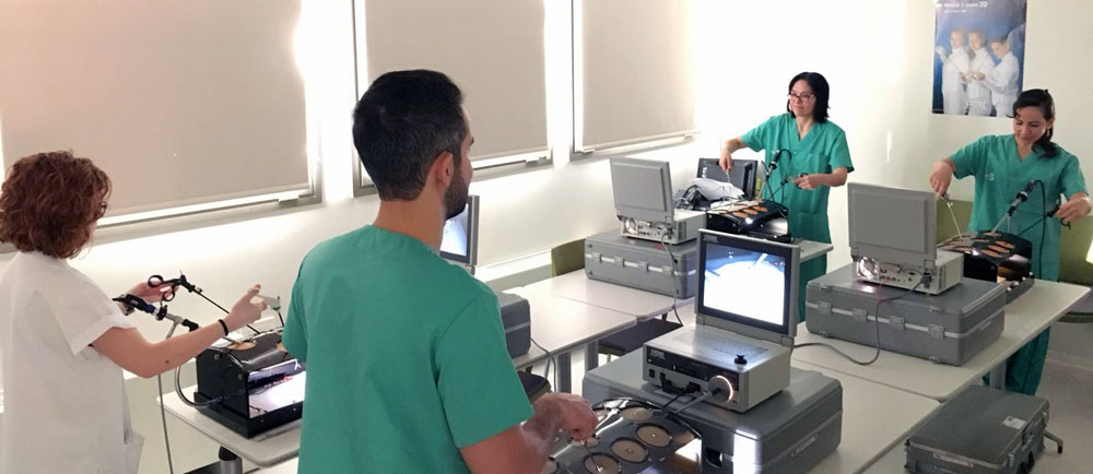 Albacete adiestra a sus médicos en laparoscopia