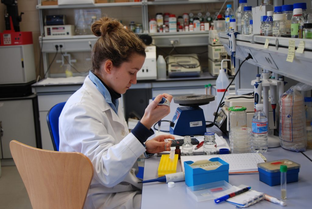 La UCLM destaca en Ciencias Veterinarias