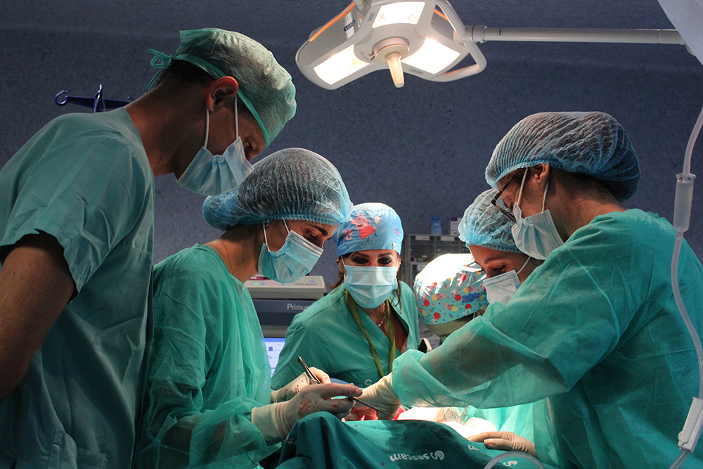 Albacete curso cirugía trasplante