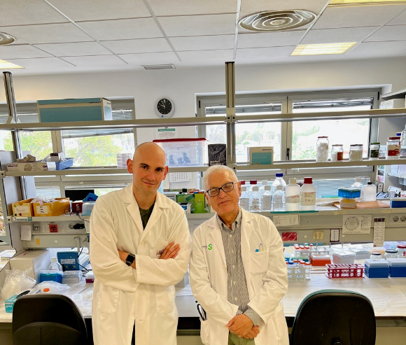 Un equipo de científicos albaceteños puede saber con dos análisis cuántos duran los anticuerpos COVID, más eficaces con vacuna e infección.
