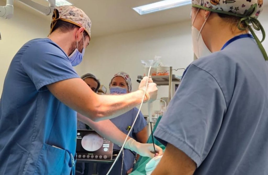 el Hospital de Hellín (Albacete) está incorporando nuevas técnicas quirúrgicas en el Servicio de Urología